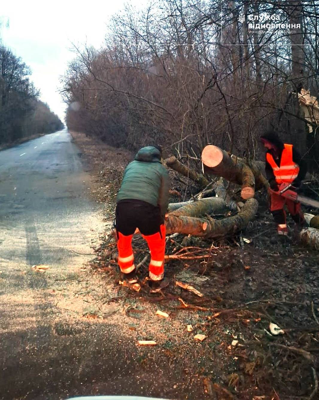Внаслідок негоди зламані дерева падали на проїжджу частину державних доріг